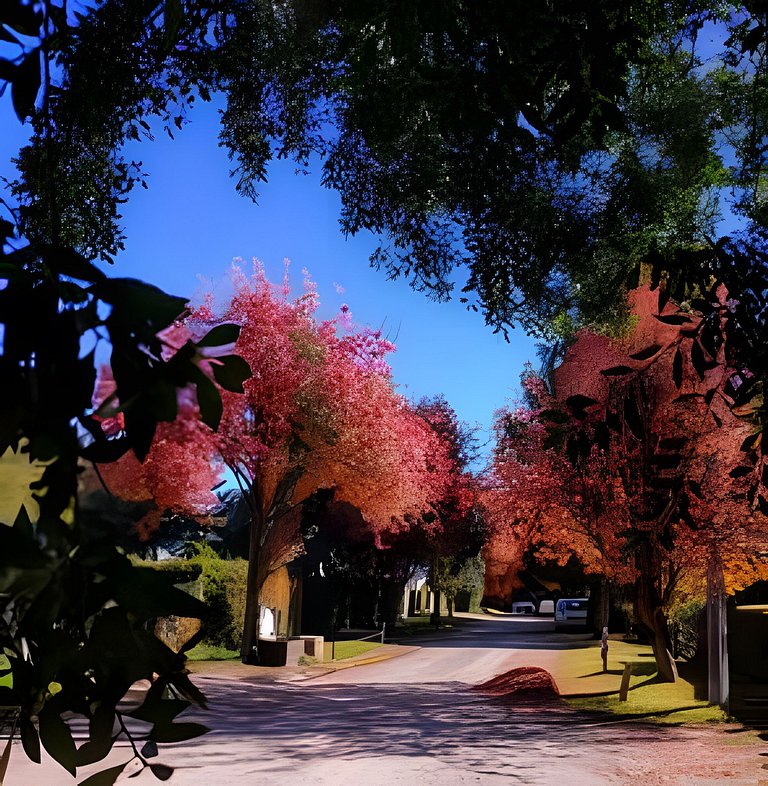 Blue Bird Flat II - Bariloche